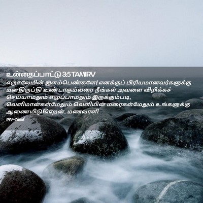 Picture 02 - உன்னதப்பாட்டு 3:5 TAMIRV - எருசலேமின் - Bible Verse Picture