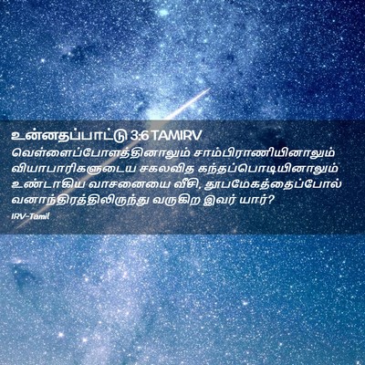 Picture 02 - உன்னதப்பாட்டு 3:6 TAMIRV -  - Bible Verse Picture