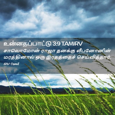 Picture 02 - உன்னதப்பாட்டு 3:9 TAMIRV - சாலொமோன் ராஜா - Bible Verse Picture