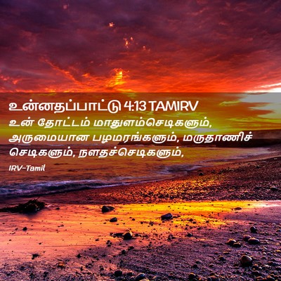 Picture 02 - உன்னதப்பாட்டு 4:13 TAMIRV - உன் தோட்டம் - Bible Verse Picture