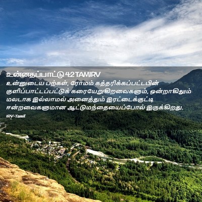 Picture 02 - உன்னதப்பாட்டு 4:2 TAMIRV - உன்னுடைய பற்கள், - Bible Verse Picture