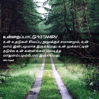 Picture 02 - உன்னதப்பாட்டு 4:3 TAMIRV - உன் உதடுகள் - Bible Verse Picture
