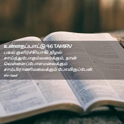 Picture 02 - உன்னதப்பாட்டு 4:6 TAMIRV - பகல் - Bible Verse Picture