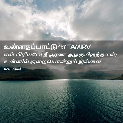 Picture 02 - உன்னதப்பாட்டு 4:7 TAMIRV - என் பிரியமே! நீ - Bible Verse Picture