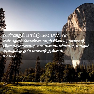 Picture 02 - உன்னதப்பாட்டு 5:10 TAMIRV - என் நேசர் - Bible Verse Picture