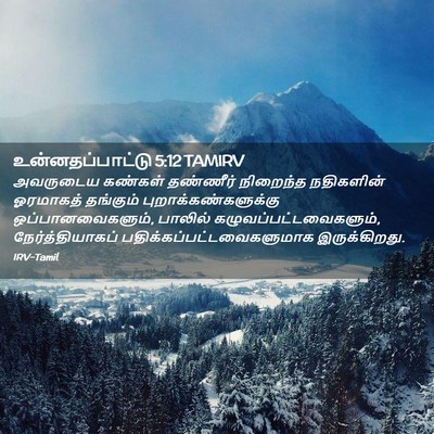 Picture 02 - உன்னதப்பாட்டு 5:12 TAMIRV - அவருடைய கண்கள் - Bible Verse Picture