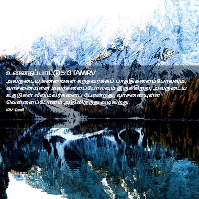 Picture 02 - உன்னதப்பாட்டு 5:13 TAMIRV - அவருடைய கன்னங்கள் - Bible Verse Picture