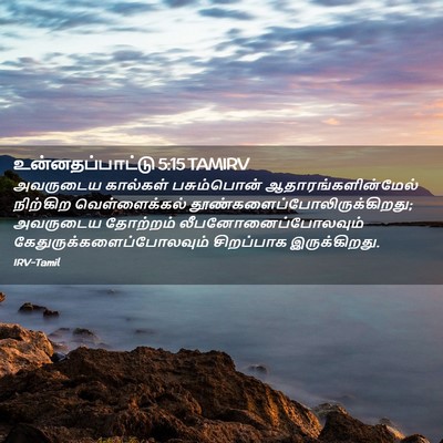 Picture 02 - உன்னதப்பாட்டு 5:15 TAMIRV - அவருடைய கால்கள் - Bible Verse Picture