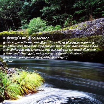 Picture 02 - உன்னதப்பாட்டு 5:2 TAMIRV - நான் உறங்கினேன், - Bible Verse Picture
