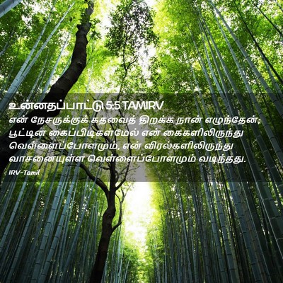 Picture 02 - உன்னதப்பாட்டு 5:5 TAMIRV - என் நேசருக்குக் - Bible Verse Picture