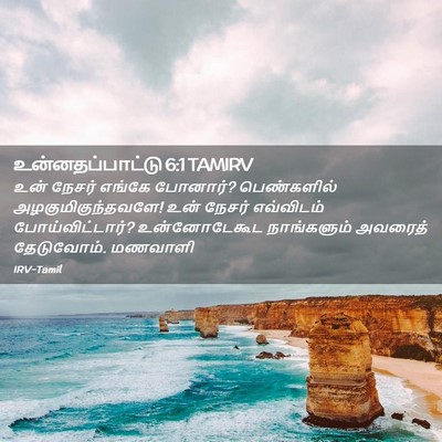 Picture 02 - உன்னதப்பாட்டு 6:1 TAMIRV - உன் நேசர் எங்கே - Bible Verse Picture