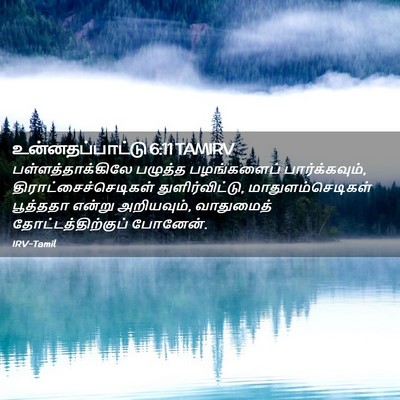 Picture 02 - உன்னதப்பாட்டு 6:11 TAMIRV - பள்ளத்தாக்கிலே - Bible Verse Picture