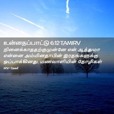 Picture 02 - உன்னதப்பாட்டு 6:12 TAMIRV -  - Bible Verse Picture