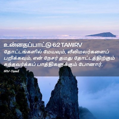 Picture 02 - உன்னதப்பாட்டு 6:2 TAMIRV - தோட்டங்களில் - Bible Verse Picture