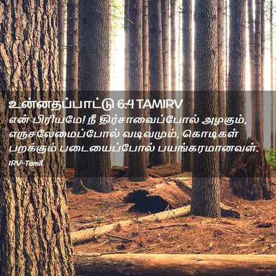 Picture 02 - உன்னதப்பாட்டு 6:4 TAMIRV - என் பிரியமே! நீ - Bible Verse Picture