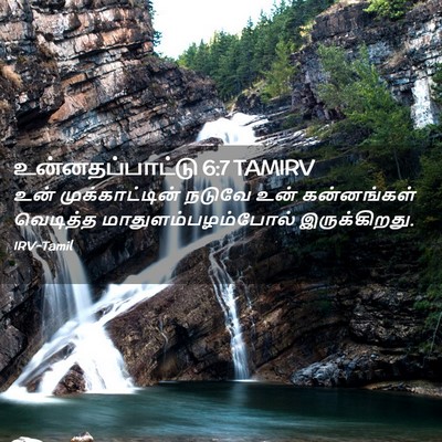 Picture 02 - உன்னதப்பாட்டு 6:7 TAMIRV - உன் முக்காட்டின் - Bible Verse Picture