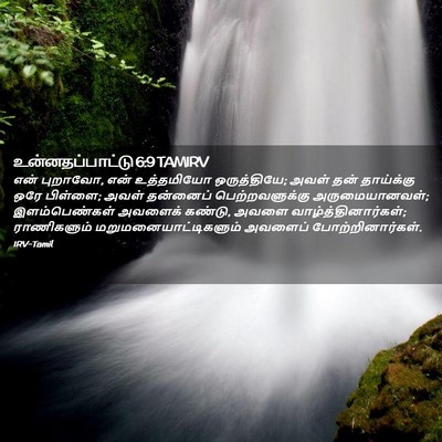 Picture 02 - உன்னதப்பாட்டு 6:9 TAMIRV - என் புறாவோ, என் - Bible Verse Picture
