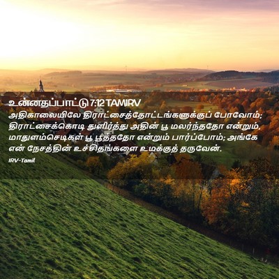 Picture 02 - உன்னதப்பாட்டு 7:12 TAMIRV - அதிகாலையிலே - Bible Verse Picture