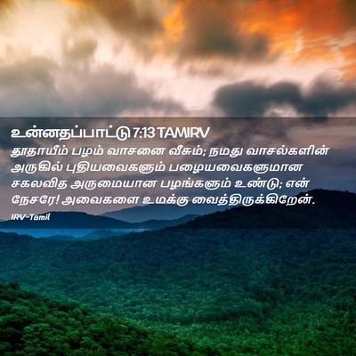Picture 02 - உன்னதப்பாட்டு 7:13 TAMIRV - தூதாயீம் பழம் - Bible Verse Picture