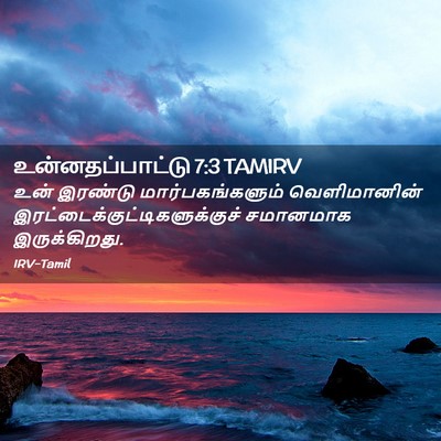 Picture 02 - உன்னதப்பாட்டு 7:3 TAMIRV - உன் இரண்டு - Bible Verse Picture