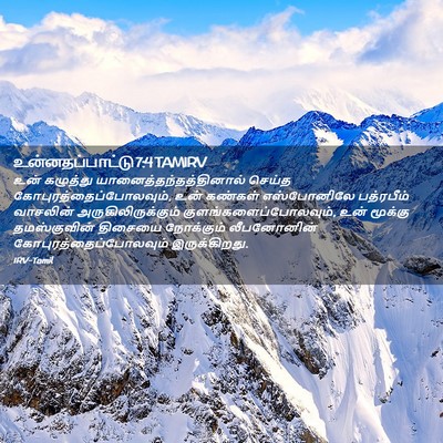 Picture 02 - உன்னதப்பாட்டு 7:4 TAMIRV - உன் கழுத்து - Bible Verse Picture