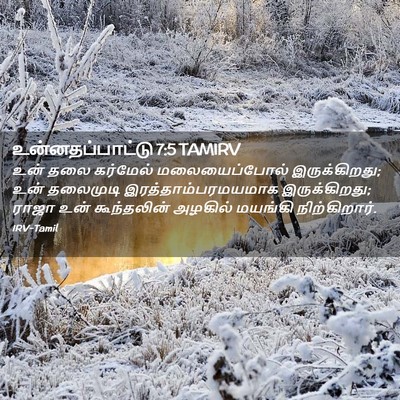 Picture 02 - உன்னதப்பாட்டு 7:5 TAMIRV - உன் தலை கர்மேல் - Bible Verse Picture