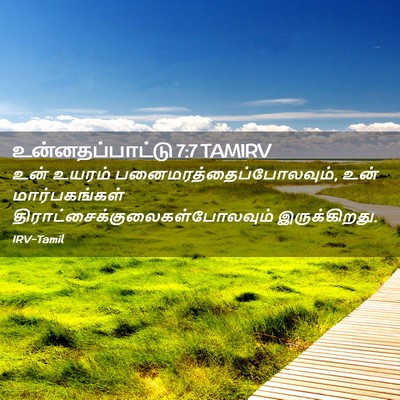 Picture 02 - உன்னதப்பாட்டு 7:7 TAMIRV - உன் உயரம் - Bible Verse Picture