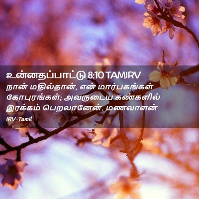 Picture 02 - உன்னதப்பாட்டு 8:10 TAMIRV - நான் மதில்தான், - Bible Verse Picture