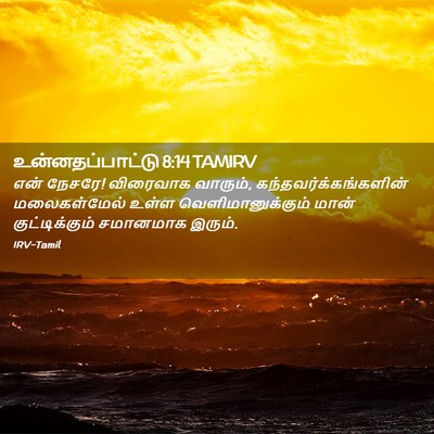 Picture 02 - உன்னதப்பாட்டு 8:14 TAMIRV - என் நேசரே! விரைவாக - Bible Verse Picture