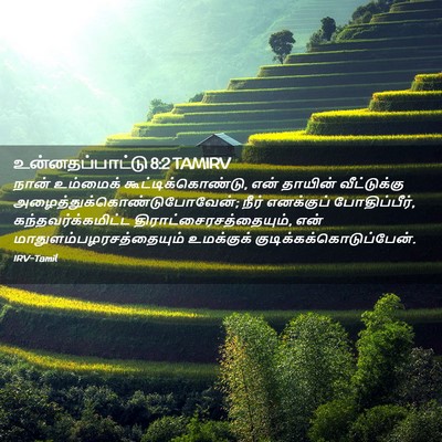 Picture 02 - உன்னதப்பாட்டு 8:2 TAMIRV - நான் உம்மைக் - Bible Verse Picture