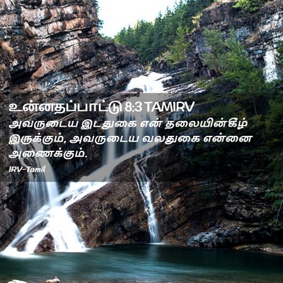 Picture 02 - உன்னதப்பாட்டு 8:3 TAMIRV - அவருடைய இடதுகை - Bible Verse Picture