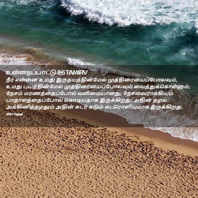 Picture 02 - உன்னதப்பாட்டு 8:6 TAMIRV - நீர் என்னை உமது - Bible Verse Picture
