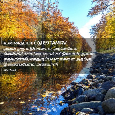 Picture 02 - உன்னதப்பாட்டு 8:9 TAMIRV - அவள் ஒரு - Bible Verse Picture