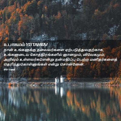 Picture 02 - உபாகமம் 1:13 TAMIRV - நான் உங்களுக்கு - Bible Verse Picture