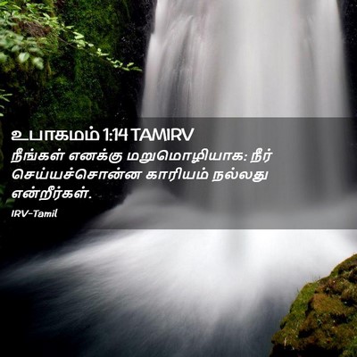 Picture 02 - உபாகமம் 1:14 TAMIRV - நீங்கள் எனக்கு - Bible Verse Picture
