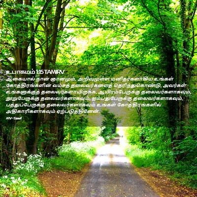 Picture 02 - உபாகமம் 1:15 TAMIRV - ஆகையால் நான் - Bible Verse Picture