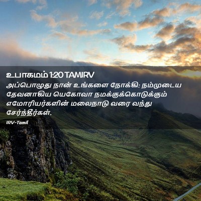 Picture 02 - உபாகமம் 1:20 TAMIRV - அப்பொழுது நான் - Bible Verse Picture