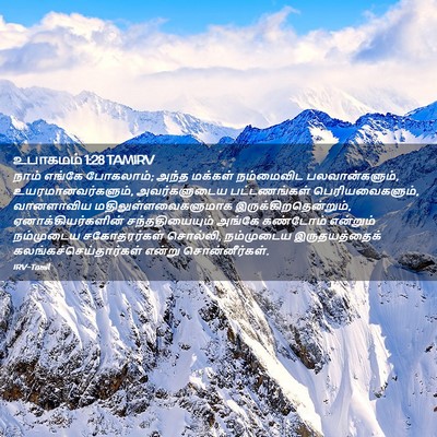 Picture 02 - உபாகமம் 1:28 TAMIRV - நாம் எங்கே - Bible Verse Picture