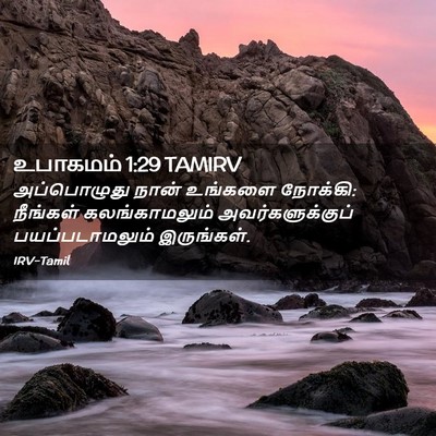 Picture 02 - உபாகமம் 1:29 TAMIRV - அப்பொழுது நான் - Bible Verse Picture