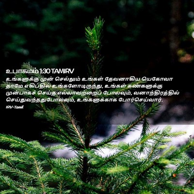 Picture 02 - உபாகமம் 1:30 TAMIRV - உங்களுக்கு முன் - Bible Verse Picture