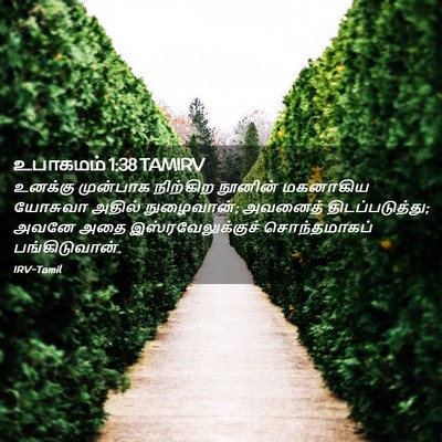 Picture 02 - உபாகமம் 1:38 TAMIRV - உனக்கு முன்பாக - Bible Verse Picture