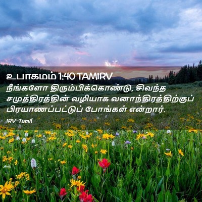 Picture 02 - உபாகமம் 1:40 TAMIRV - நீங்களோ - Bible Verse Picture