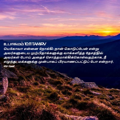 Picture 02 - உபாகமம் 10:11 TAMIRV - யெகோவா என்னை - Bible Verse Picture