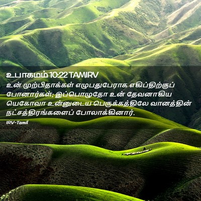 Picture 02 - உபாகமம் 10:22 TAMIRV - உன் முற்பிதாக்கள் - Bible Verse Picture