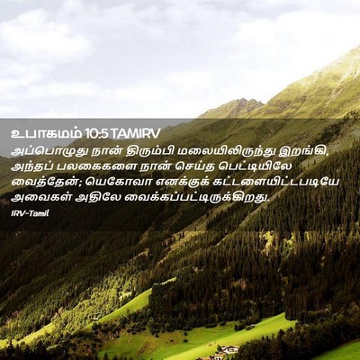 Picture 02 - உபாகமம் 10:5 TAMIRV - அப்பொழுது நான் - Bible Verse Picture