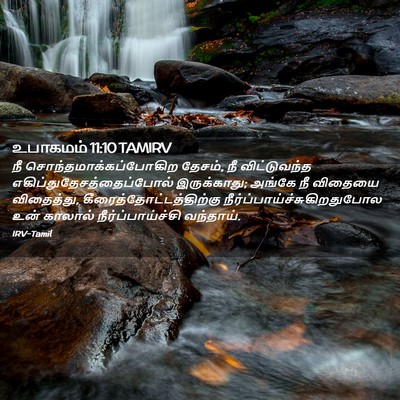 Picture 02 - உபாகமம் 11:10 TAMIRV - நீ - Bible Verse Picture
