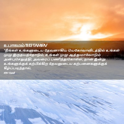 Picture 02 - உபாகமம் 11:13 TAMIRV - “நீங்கள் - Bible Verse Picture
