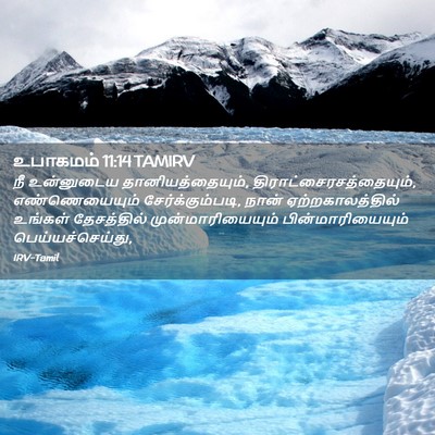 Picture 02 - உபாகமம் 11:14 TAMIRV - நீ உன்னுடைய - Bible Verse Picture