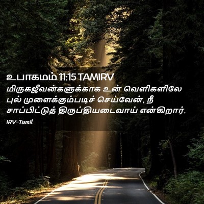 Picture 02 - உபாகமம் 11:15 TAMIRV -  - Bible Verse Picture