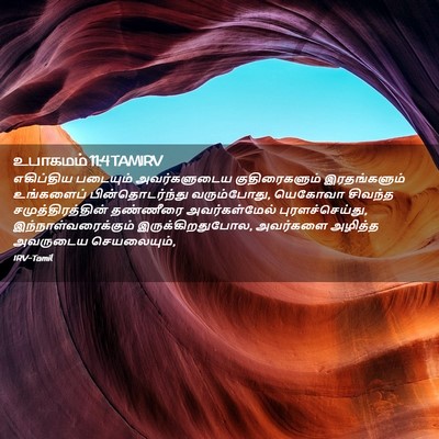Picture 02 - உபாகமம் 11:4 TAMIRV - எகிப்திய படையும் - Bible Verse Picture